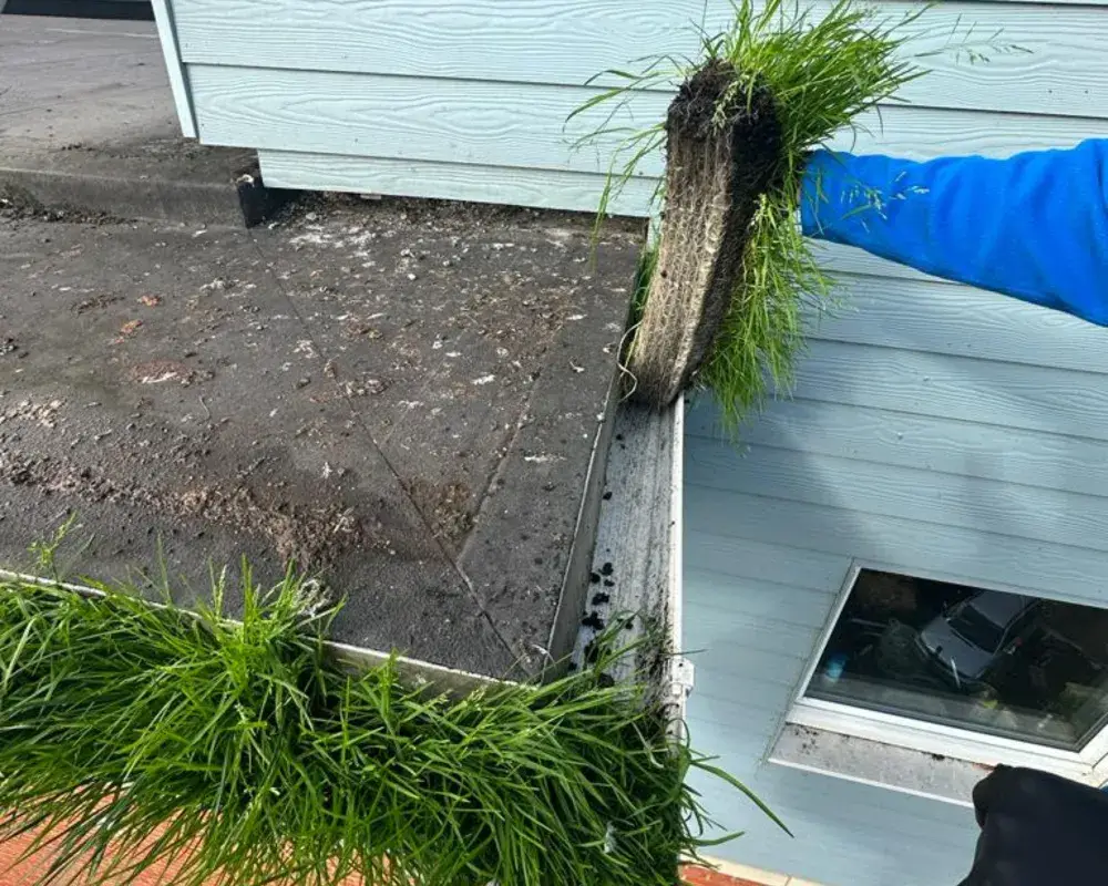 gutter-case-study-glenmore7